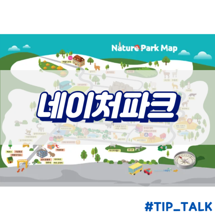  대구 가볼만한 곳 구경할 곳 동물원 | 네이처파크