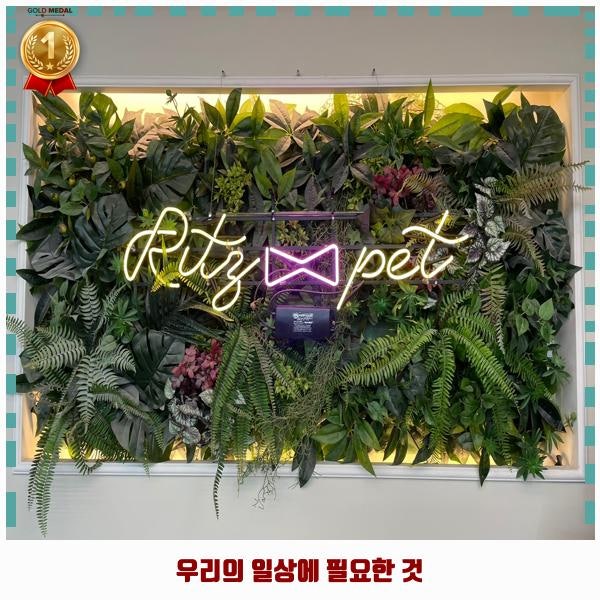 사진 6