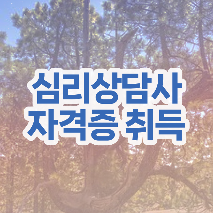  심리상담 자격증 , 심리상담사 자격증 1달 만에 준비한 과정 및 향후 전망