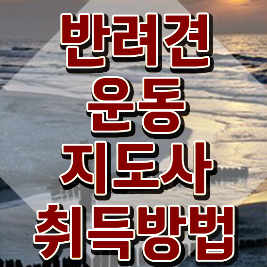  40대여성취업 , 반려견운동지도사 합격 비법 및 향후 전망