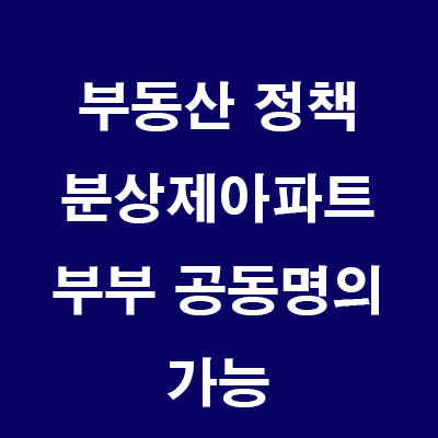  (24.6.19) 국토부 실거주의무 분상제 아파트 부부공동명의 전환허용, 법령개정진행