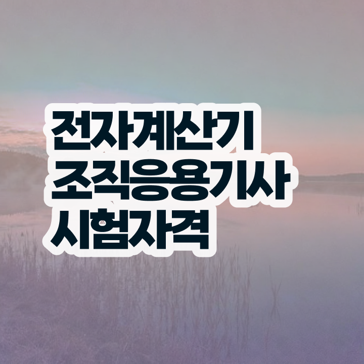  전자계산기조직응용기사 응시자격 집에서 온라인으로 15주만에 성공한 후기