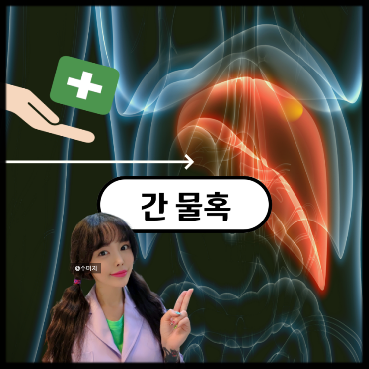  간에 혹 물혹 간낭종 간결절 간혈관종 간농양 원인 증상 간질환