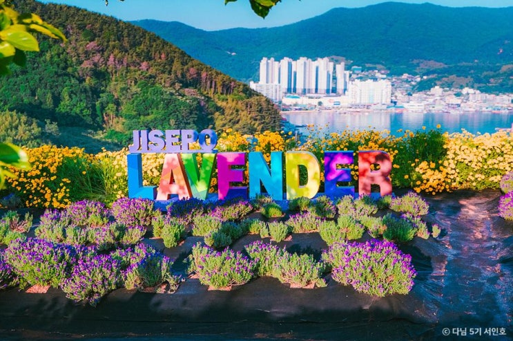  [경남/거제] 지세포진성 꽃동산 , 꽃과 바다를 함께 볼 수 있는 여행지