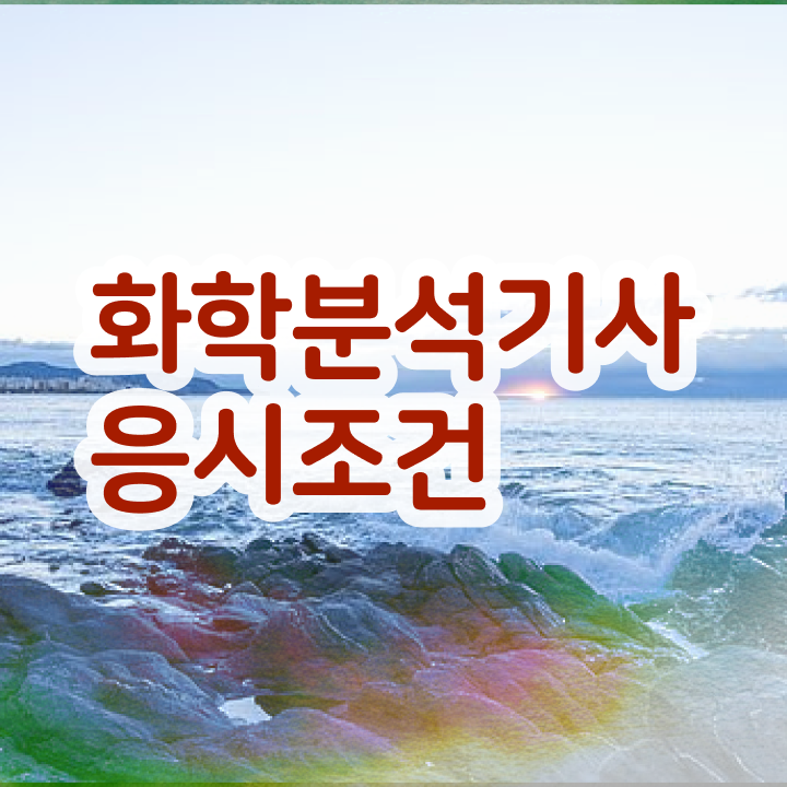  화학분석기사 화학분석기사 응시자격 온라인으로 쉽고 빠르게 준비한 전략