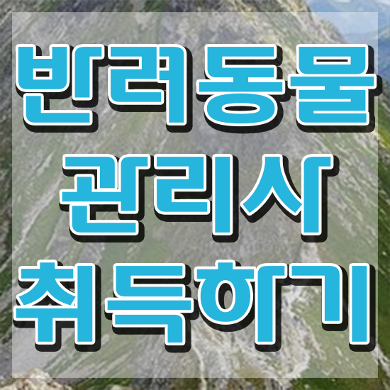  반려동물관리사 학원 , 반려동물관리사 자격증 응시자격 없이 준비한 방법 요약
