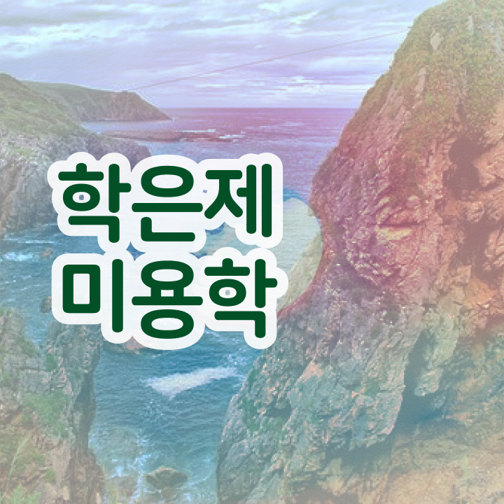  미용학과 있는대학 , 종합미용자격증 비전공 고졸이 2학기 만에 갖출 수 있었어요