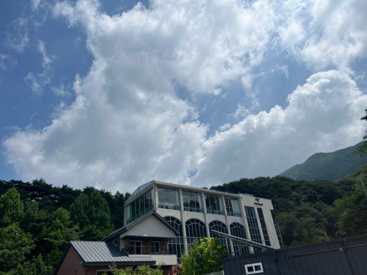  강원도 베로나지디 원주웨딩홀 하객 후기 ft. 단독홀과 코스요리