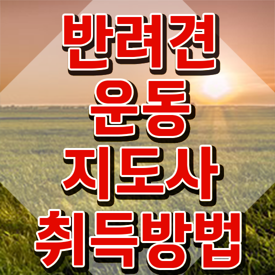  경단녀 자격증 반려견운동지도사 간단하게 취득한 노하우