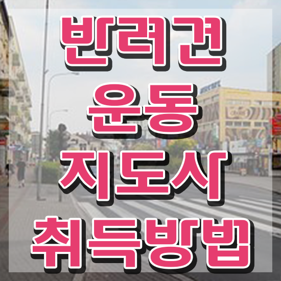  40대주부자격증 반려견운동지도사자격증 취득방법 및 인기있는 이유