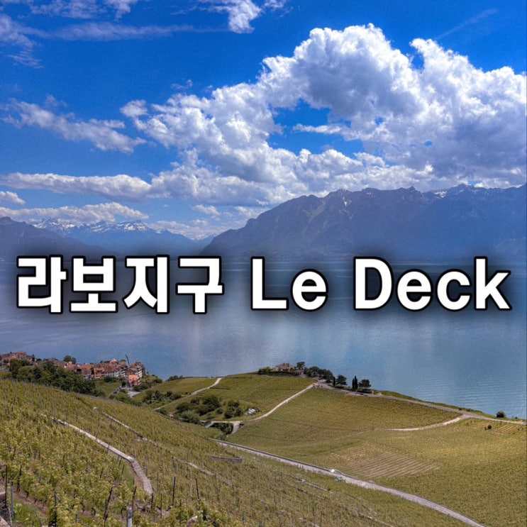  스위스 여행 라보지구 미슐랭 르덱 메뉴 추천 Le Deck 생일 파티 후기