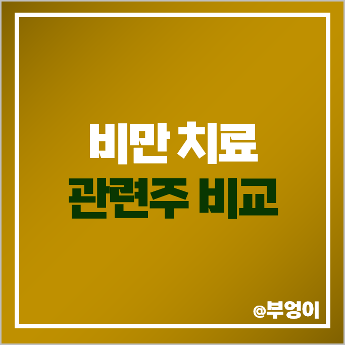 비만 치료제 관련주 유한양행 펩트론 대화제약 주가 라파스 주식 비만 치료제 관련주 유한양행 펩트론 대화제약 주가 라파스 주식