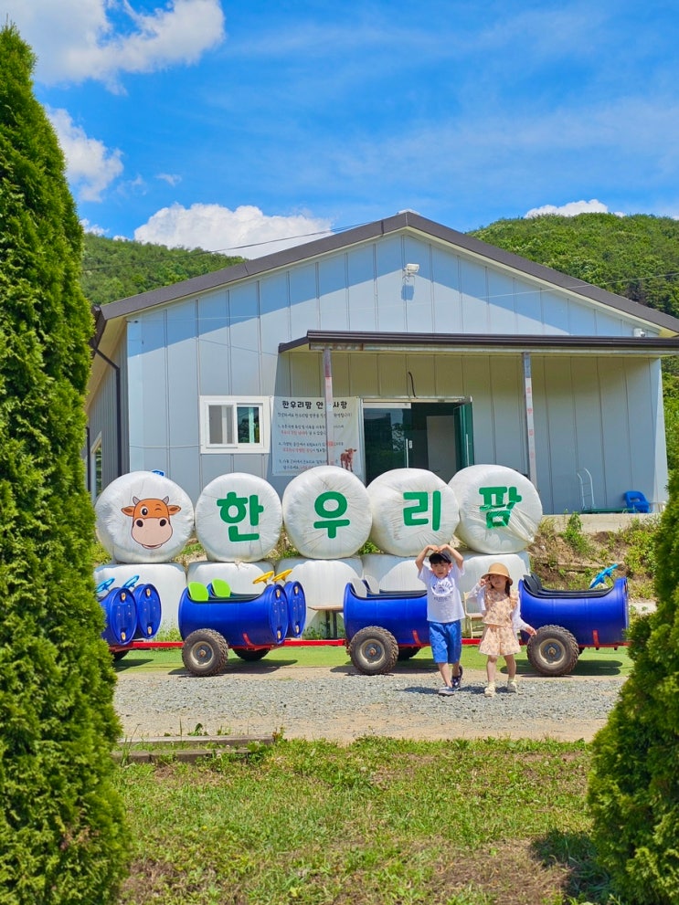  경주 아이와 함께 가볼만한곳 경주피자체험 놀거리 가득한 한우리팜