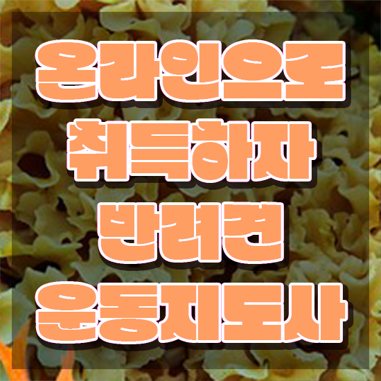  경단녀 재취업 , 반려견운동지도사 경력없는 사람도 초단기 성공한 과정