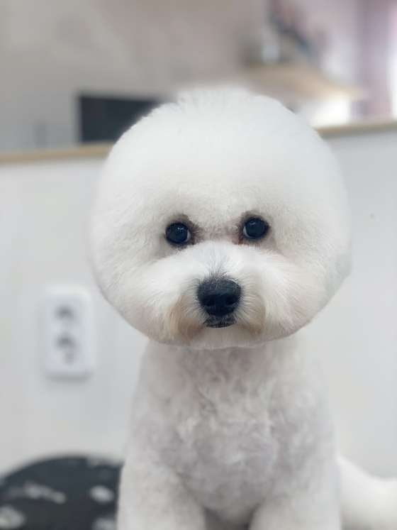 사진 2