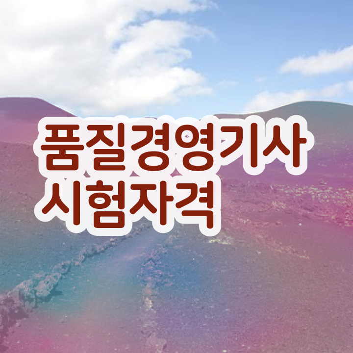  품질경영기사 품질경영기사 응시자격 집에서 온라인으로 쉽고 빠르게 준비한 후기