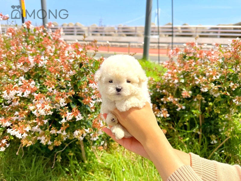 사진 2