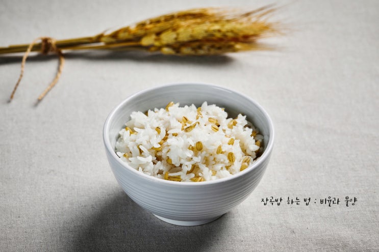  잡곡 효능 잡곡밥 만드는 방법(비율, 물양,불림시간)