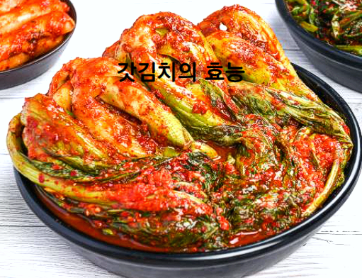 갓김치효능 돌산갓김치