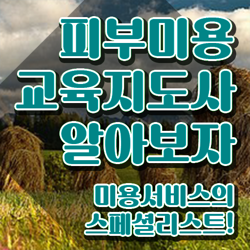  피부자격증 , 피부미용교육지도사 자격증 온라인으로 간단히 준비한 방법 , 취업정보