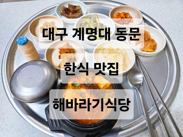  대구 계명대 동문 혼밥 편한 한식 백반 맛집 '해바라기식당'