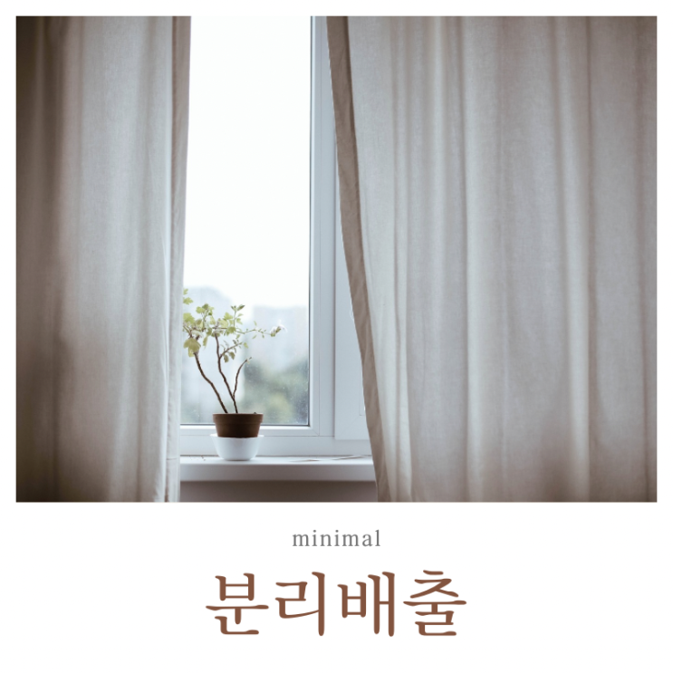  버리는 것도 일
