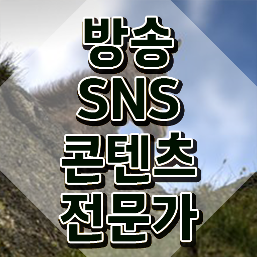  인스타마케팅책추천 , 방송sns콘텐츠전문가 자격증 쉽고 빠르게 시험준비 및 활용 방법