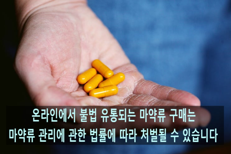 『나비약? 눈사람약? 마약류 식욕억제제, 팬터민』