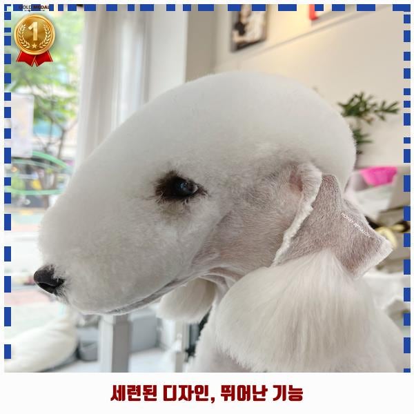 하니펫살롱