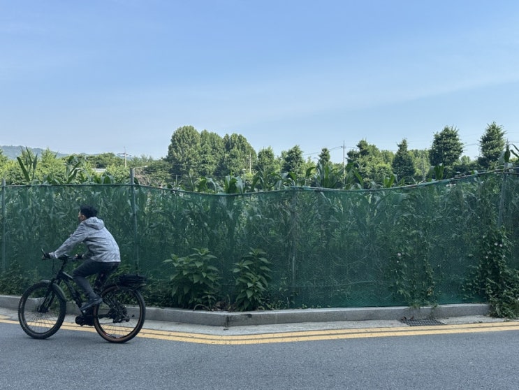 240619 식단 일기 - 첫 <b>폭염주의보</b>
