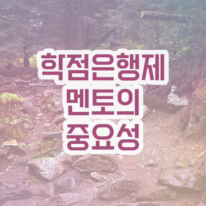  학점은행제 인정자격증 , 전문학습멘토 이 부분만 꼭 확인하세요