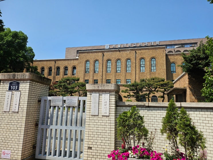  유방암 허투 양성 3기 치료기 서울대병원 한원식교수님 진료 첫 암치료계획 때 알아두면 좋은 점