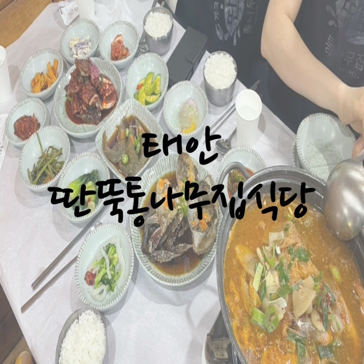  태안 안면도 딴뚝통나무집식당 게국지 양념 간장게장 맛집 세트 추천