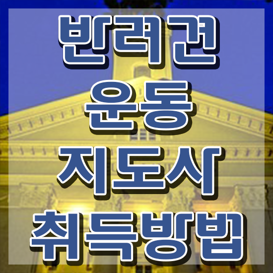  40대여성자격증 , 반려견운동지도사 경력없는 고졸도 동영상 과정으로 빠르게 끝내는 후기