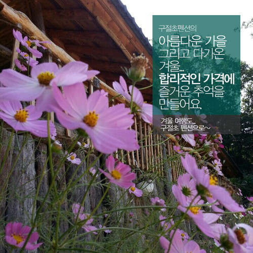 구절초펜션 사진 1