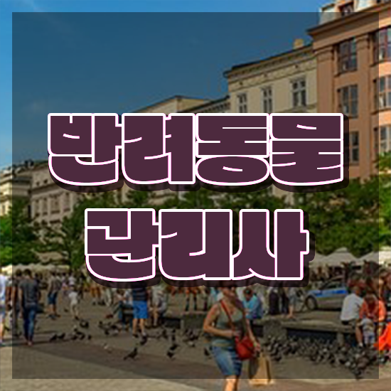  반려동물복지관리사 , 반려동물관리사 자격증 쉽고 간편하게 취득한 노하우 , 활용 방법