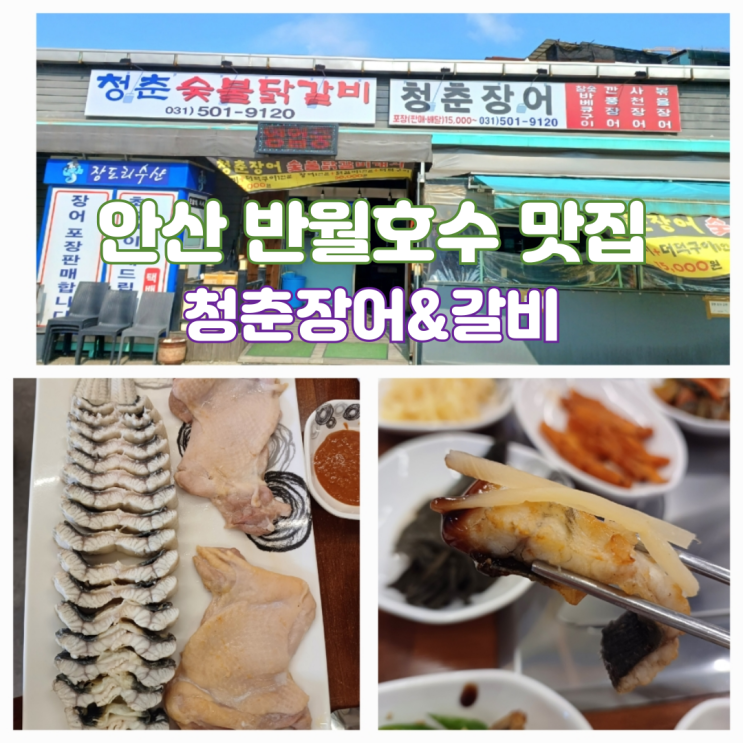 안산 반월호수 맛집 청춘장어 & 갈비 반월역 근처 맛집 안산 반월호수 맛집 청춘장어 & 갈비 반월역 근처 맛집