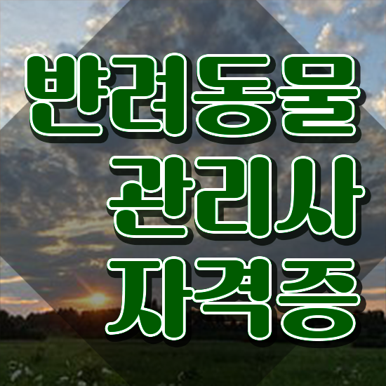 , 반려동물관리사 자격증 취득했던 후기 콕콕 짚어드립니다