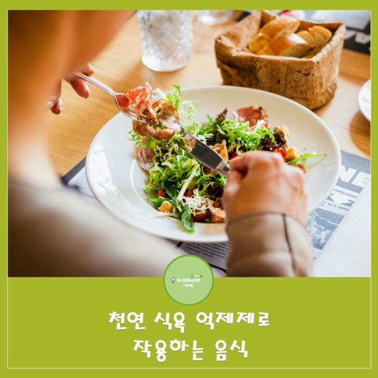  천연 식욕 억제제로 작용하는 음식