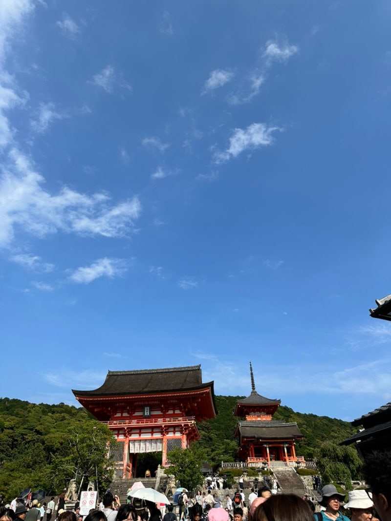 🇯🇵 Japan #2_ 오사카성 셔틀버스 / 오사카에서 교토 이동 / 교토 당일치기 코스 & 맛집 / 오멘 / 교토 편집샵 /  폰토초 & 니시키 시장 / 청수사 / 우시미츠 : 네이버 블로그