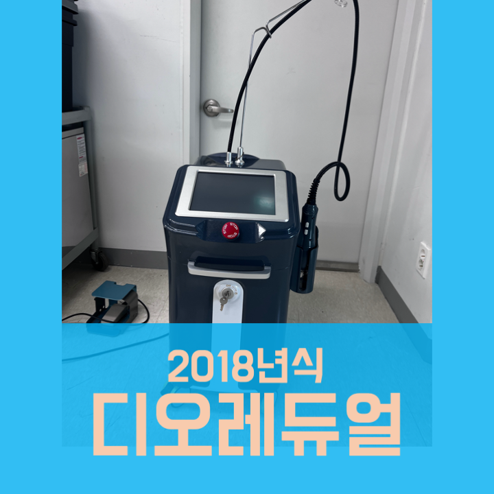  디오레듀얼 중고 (2018년식)