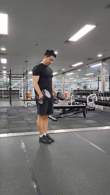  헬스장 여자 팔 어깨 운동 덤벨 컬 & 프레스