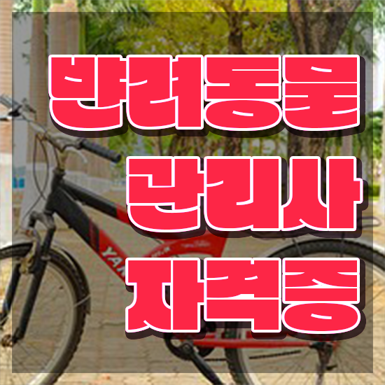  50대취업 , 반려동물관리사 자격증 쉽고 빠르게 합격한 전략 및 전망