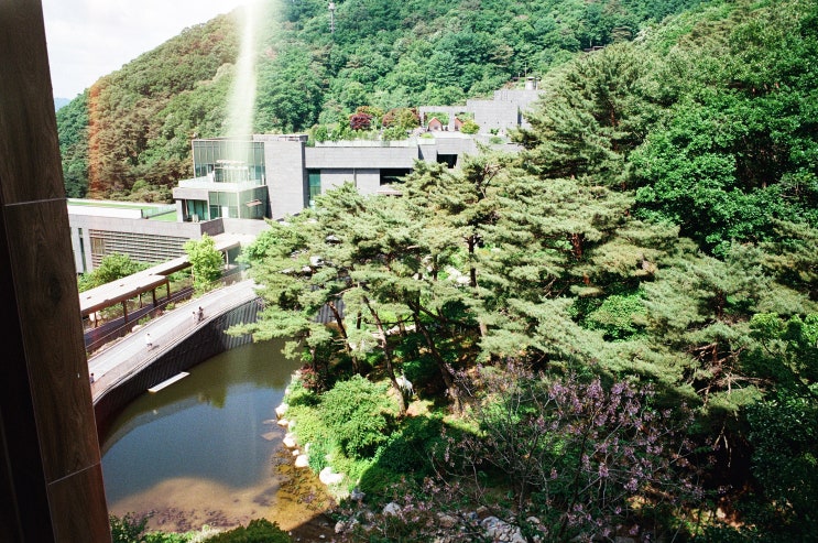  여름이 온다...[Leica M7, COLOR-SKOPAR 28mm F2.8 Aspherical Type I]