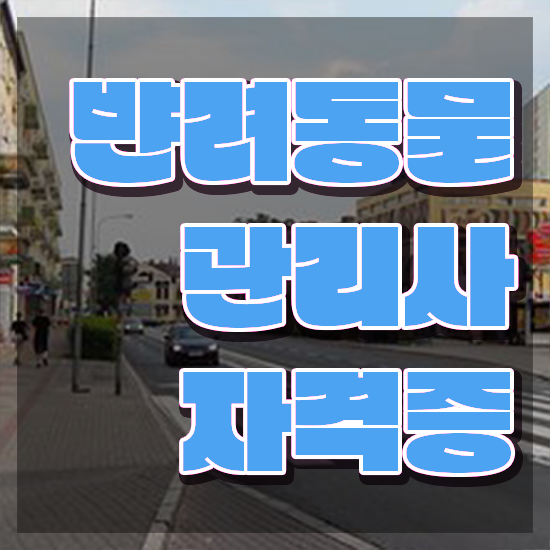  경단녀 , 반려동물관리사 자격증 온라인 교육으로 학습한 후기 , 무료수강 혜택