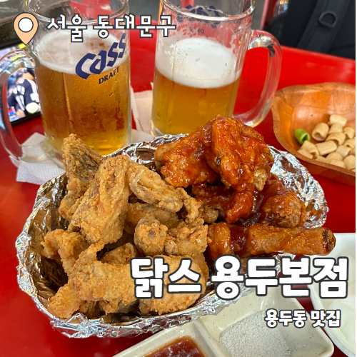  닭스 용두본점 : 용두동 야장 가능한 치맥맛집 내돈내산 후기