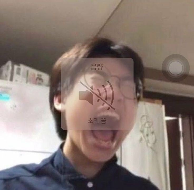 서울 러브버그 방역신청