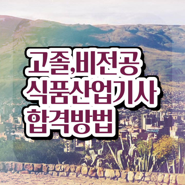  산업기사 자격증 식품산업기사 시험응시자격 온라인으로 4개월 만에 준비한 과정