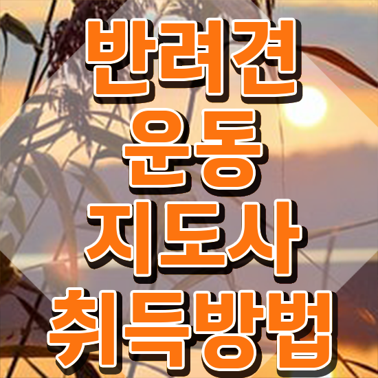  경단녀 자격증 , 반려견운동지도사 관련학과 졸업장, 경력없어도 최단기간 준비하는 과정
