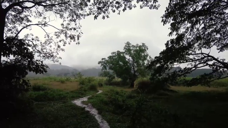  무료 만세력 사이트 , 2주 만에 명리심리상담사자격증 합격 비법